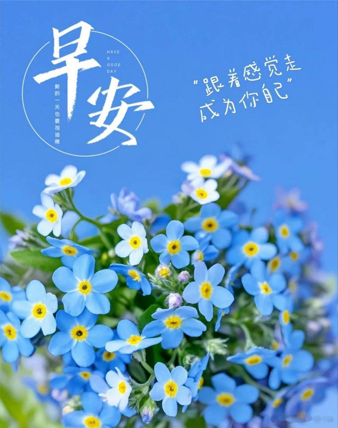 早安 生活的浪漫藏在清晨，一缕阳光、一杯温水，都值得用心珍惜。保持热忱，认真对待