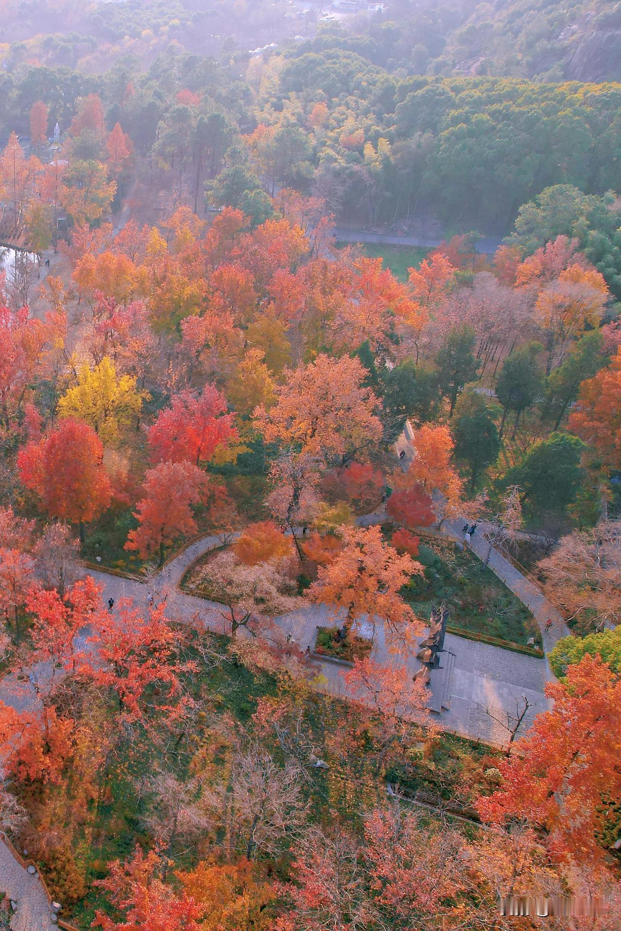 第四次来天平山，没想到12月底了天平山还这么火，进景区的路堵到不行，枫叶还剩点尾