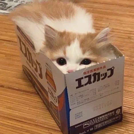 如果你了解世界之大，你会明白现在的苦难就是杯中风暴。活在害怕关系破裂的恐惧之中，