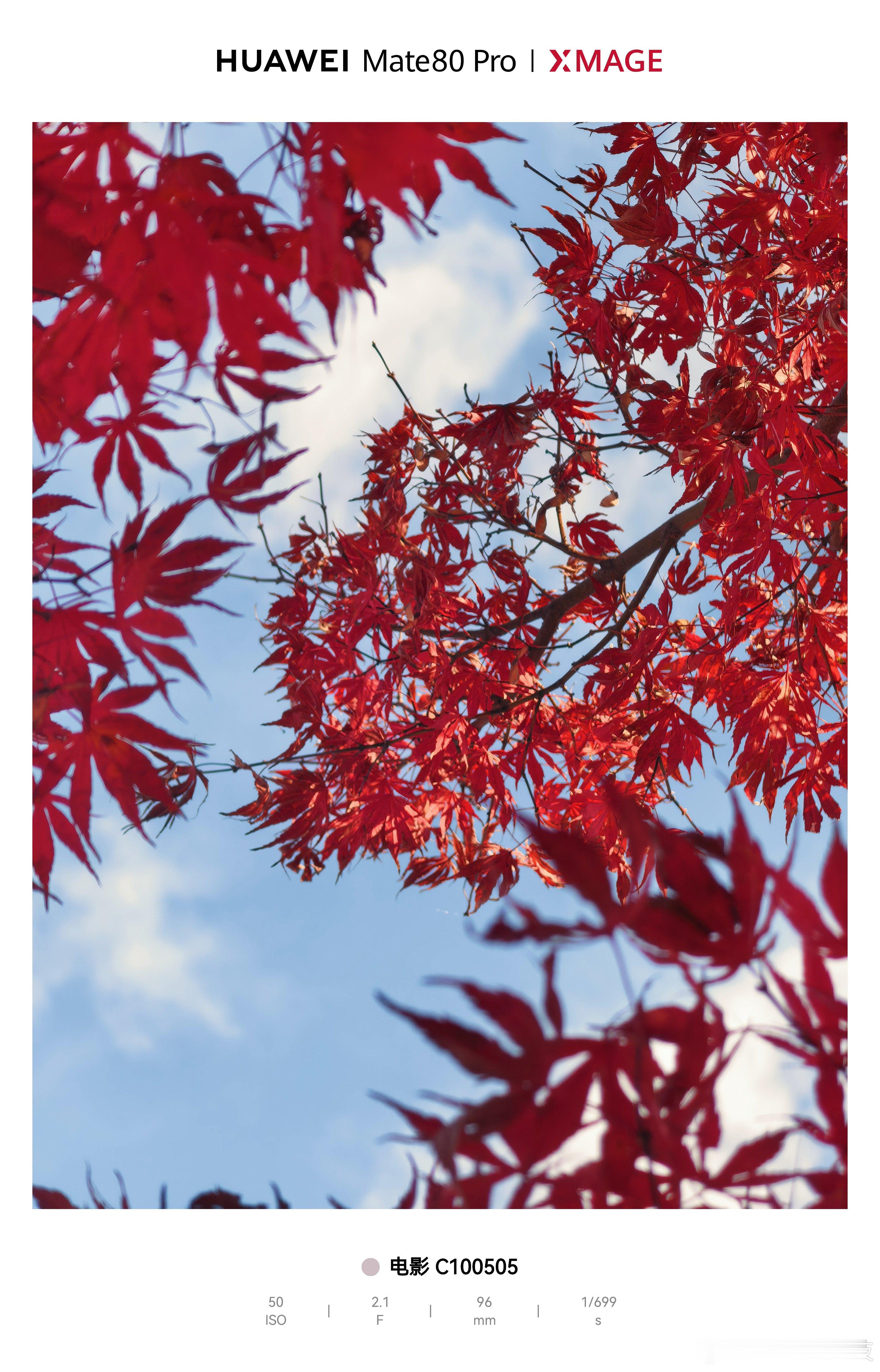 美团闪购Mate80开售是我用来拍照的这款吗？