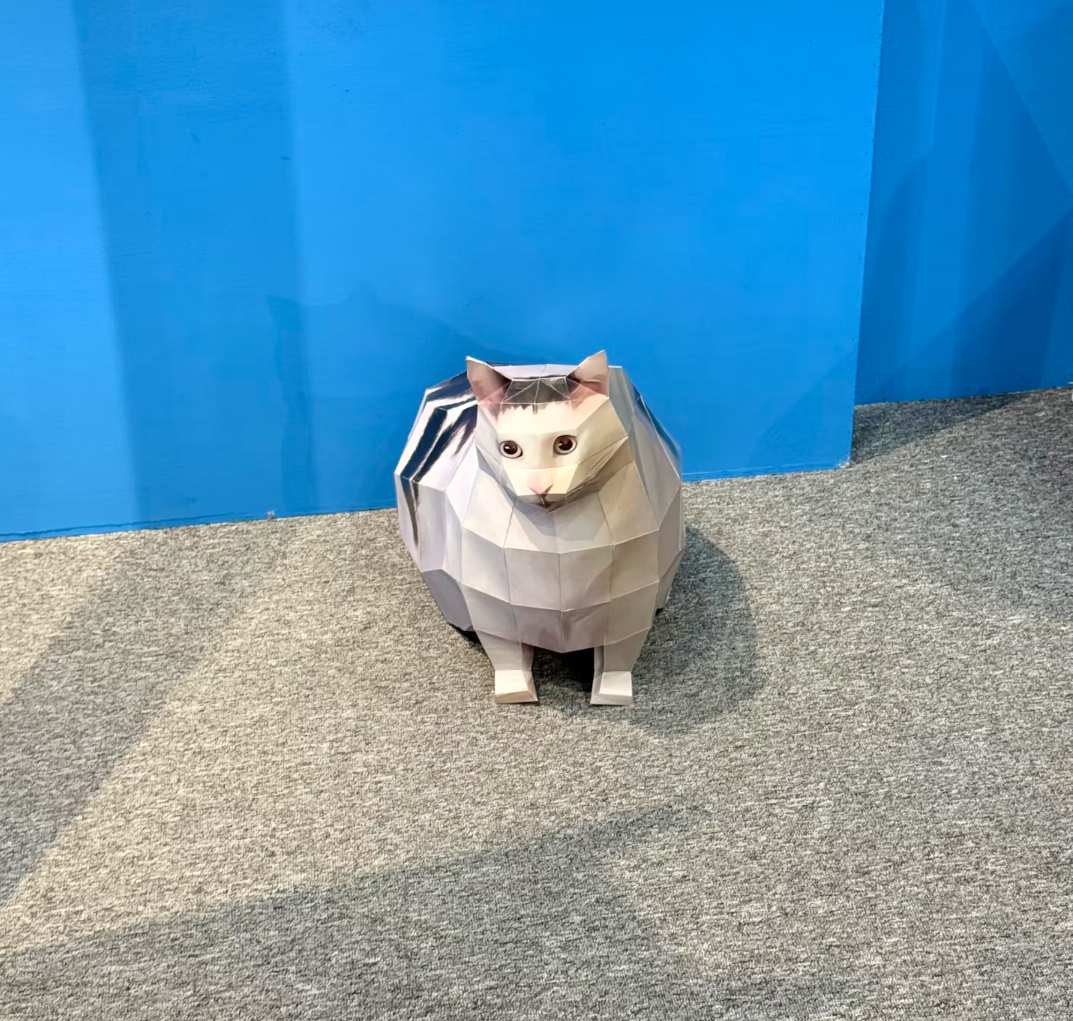 川美毕业展的猫猫特展馆，太可爱了吧