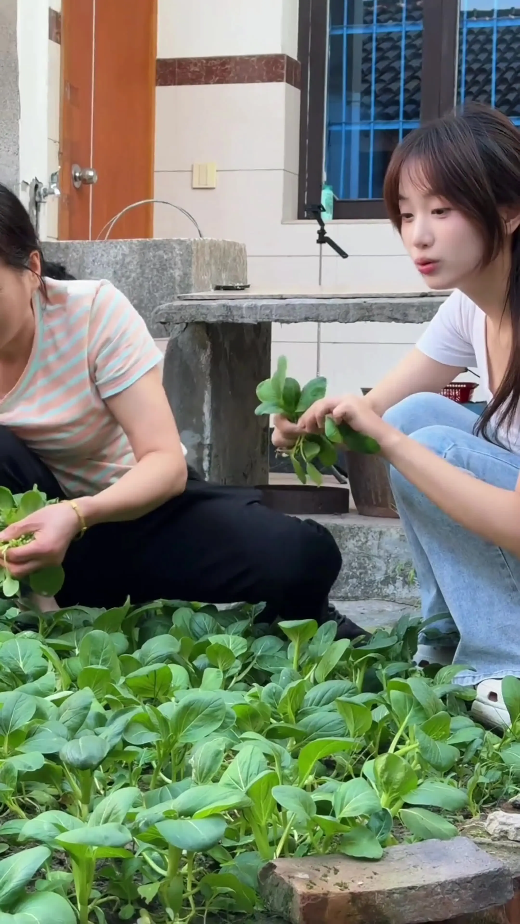 劝我干嘛 去劝你那未来的女婿呀