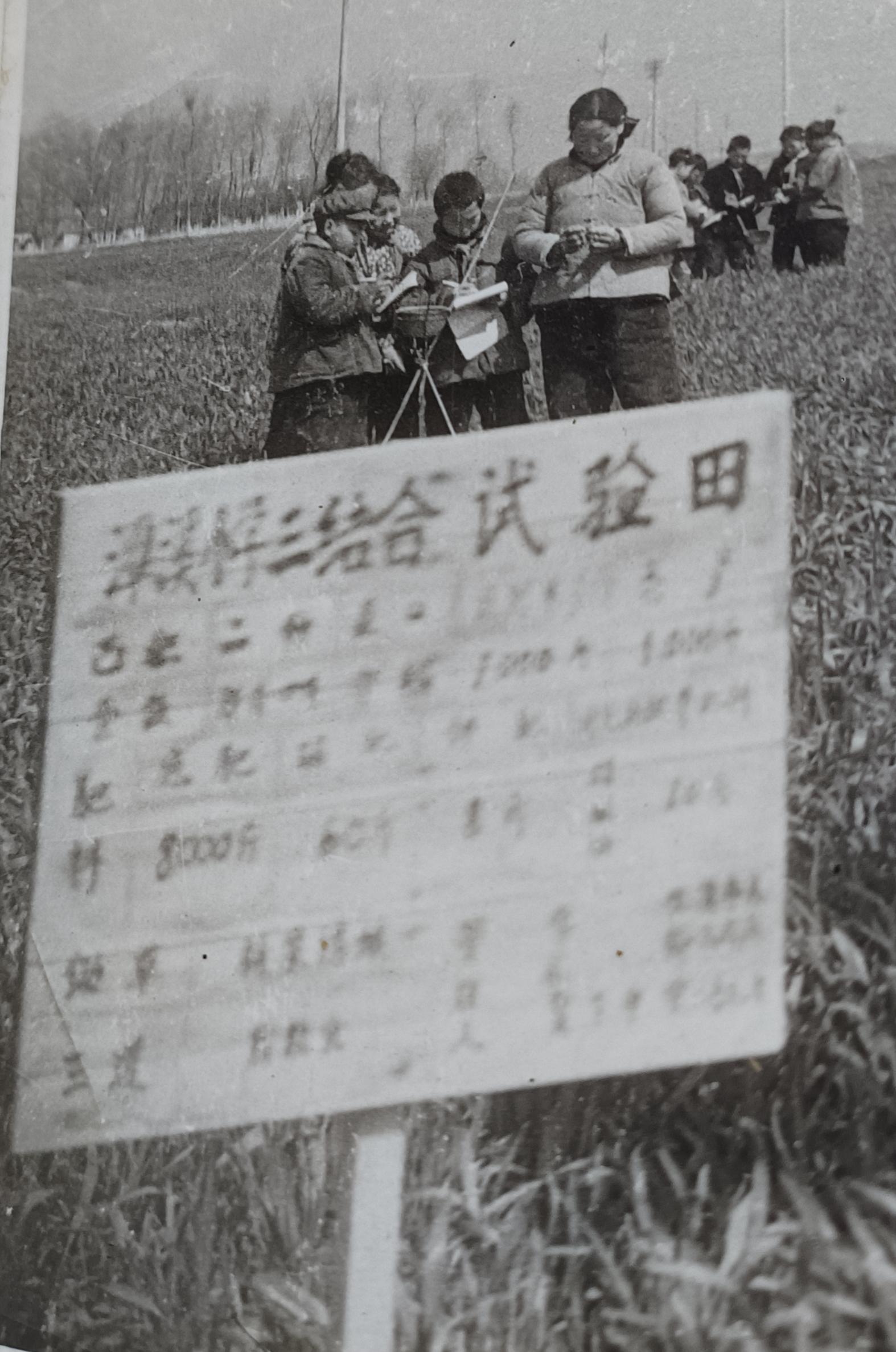 襄阳潭溪小学1971