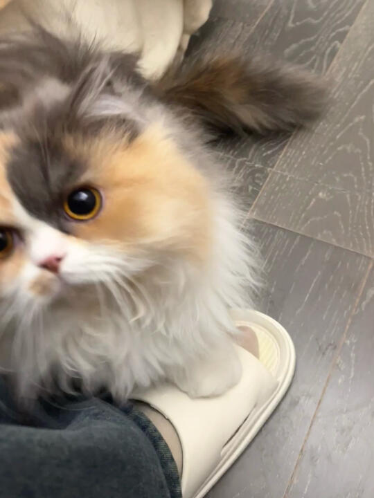 人、、咪不允洗尼下雨还桑班