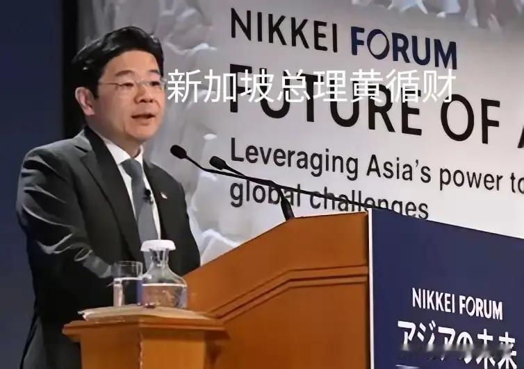 果不其然。
 
新加坡总理黄循财突然对中日关系发声了，被不少媒体解读为“呼吁放下