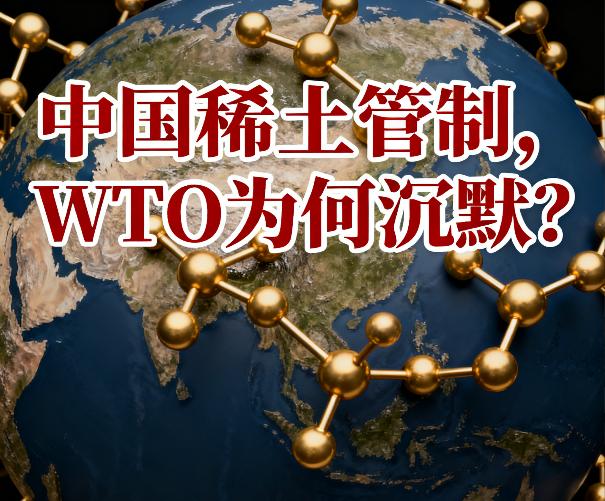 大家有没有发现，2014年我们管控稀土出口，美国，欧盟和日本向WTO起诉，最终W