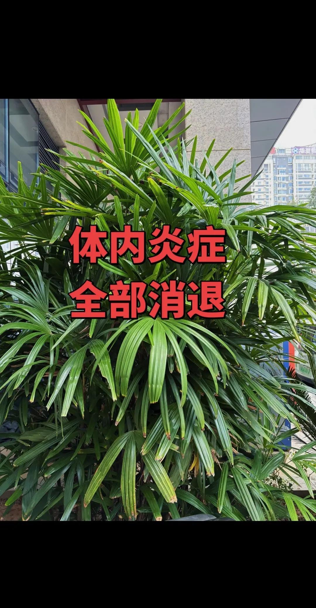 命悬一线！孙颖莎连斩10分绝境逆袭，赛点对手失误，逆转大戏上演！2026伦敦世乒