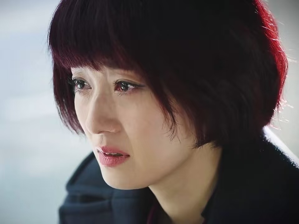 娱乐[超话]樊振东也看我的前半生 东儿我的东儿，表情包准备好了吗！樊振东和马伊琍