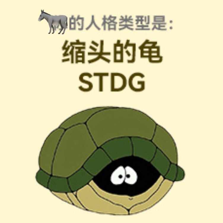🐢 