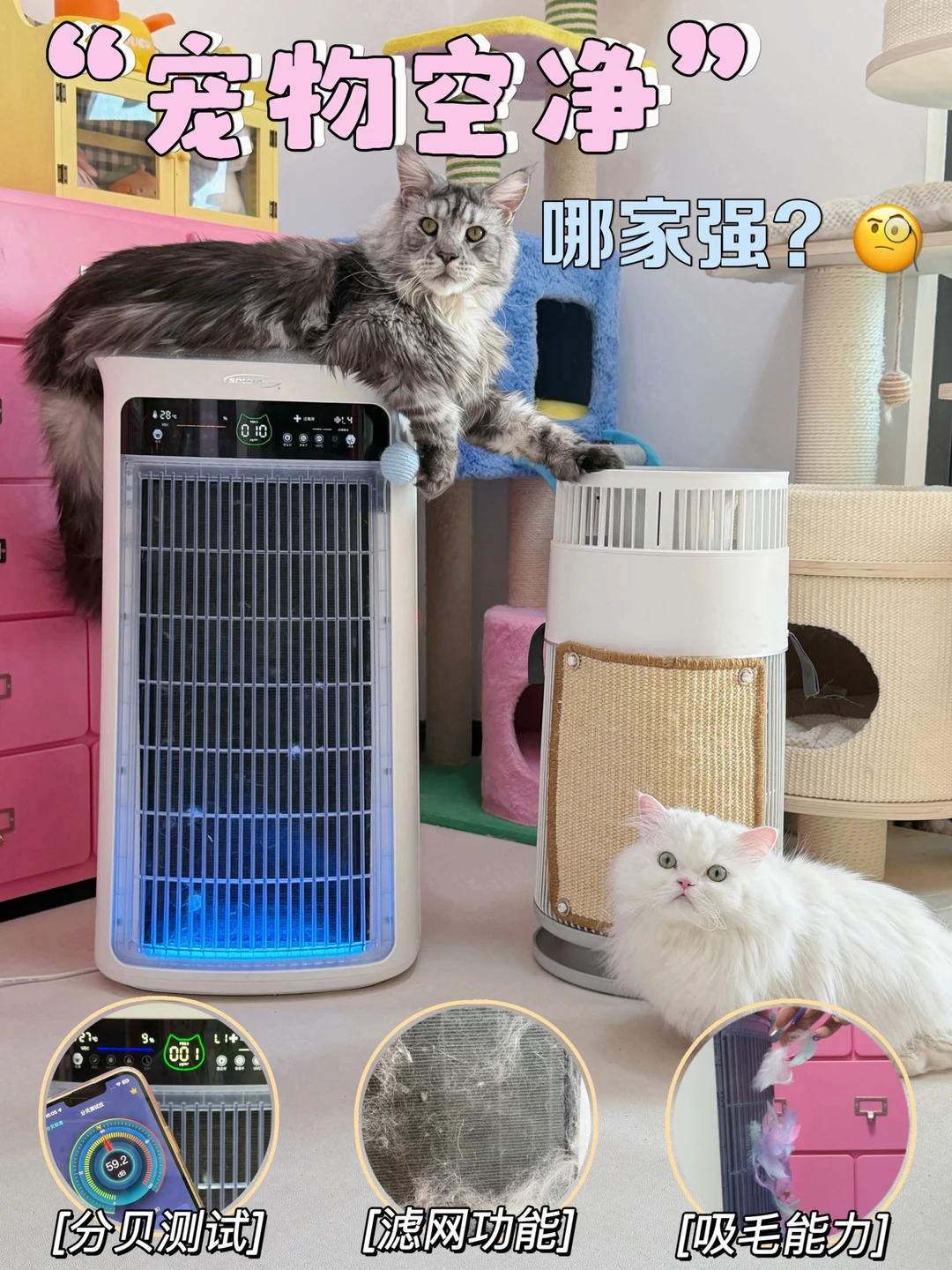 五猫家庭血泪史！宠物净化器选购记住这五点