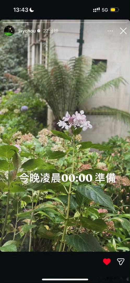 周杰伦说今晚0点准备周杰伦哎好激动，周董要做甚