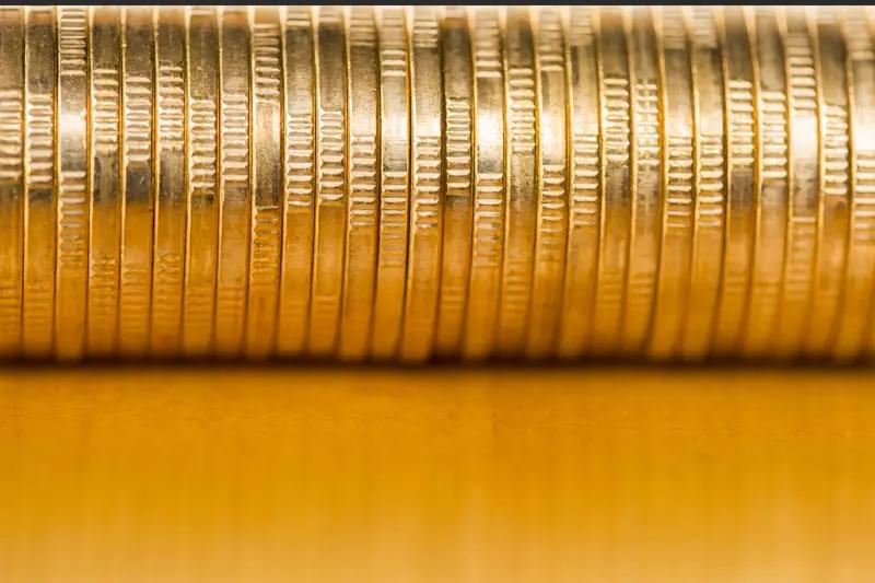 2022年9月，Penny养了13年的小狗Papi中毒死亡，当天小区还有10只宠