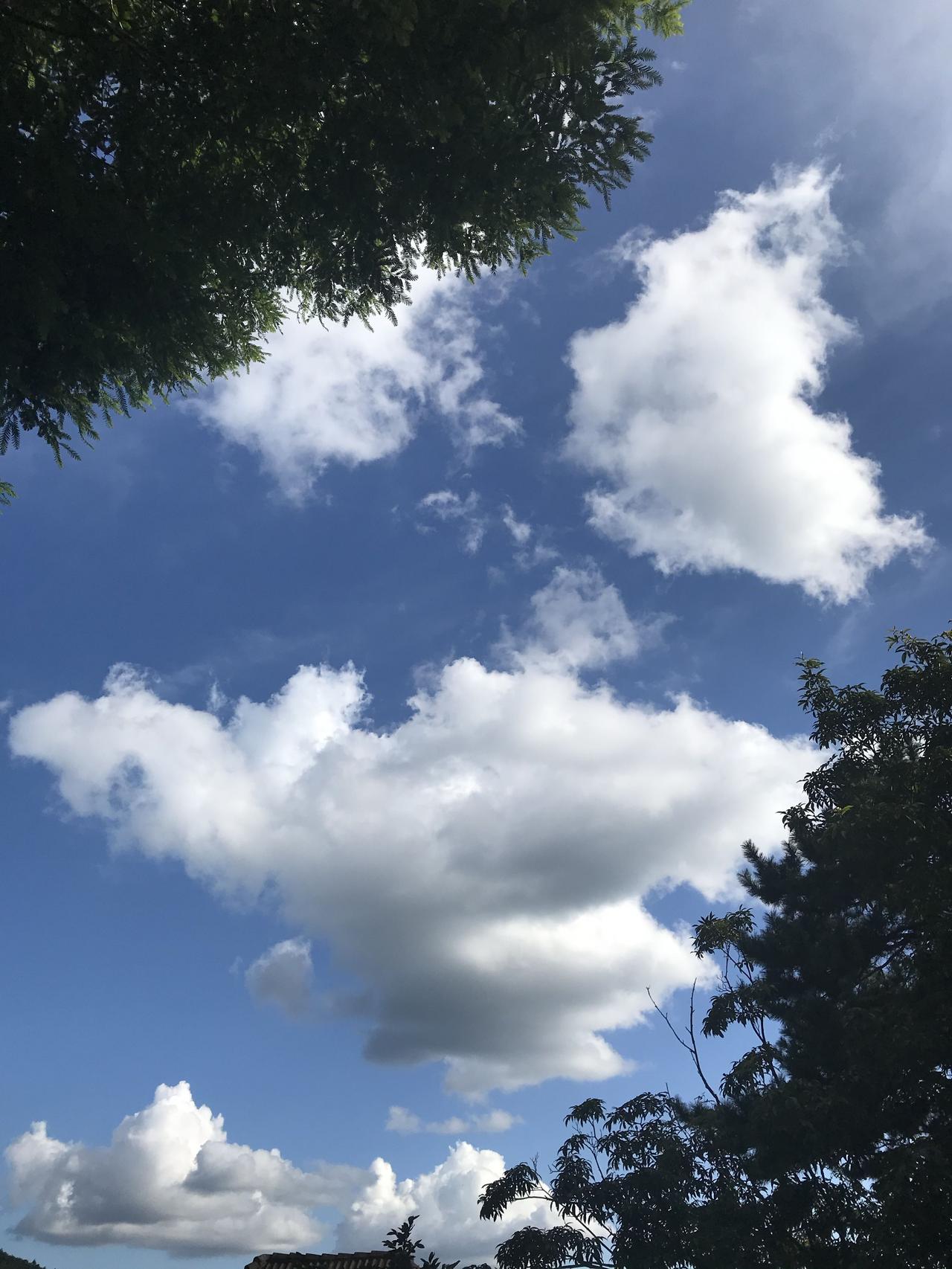 打卡吴山广场晨练！缓步慢行，赏市井风光，健康生活从清晨开始