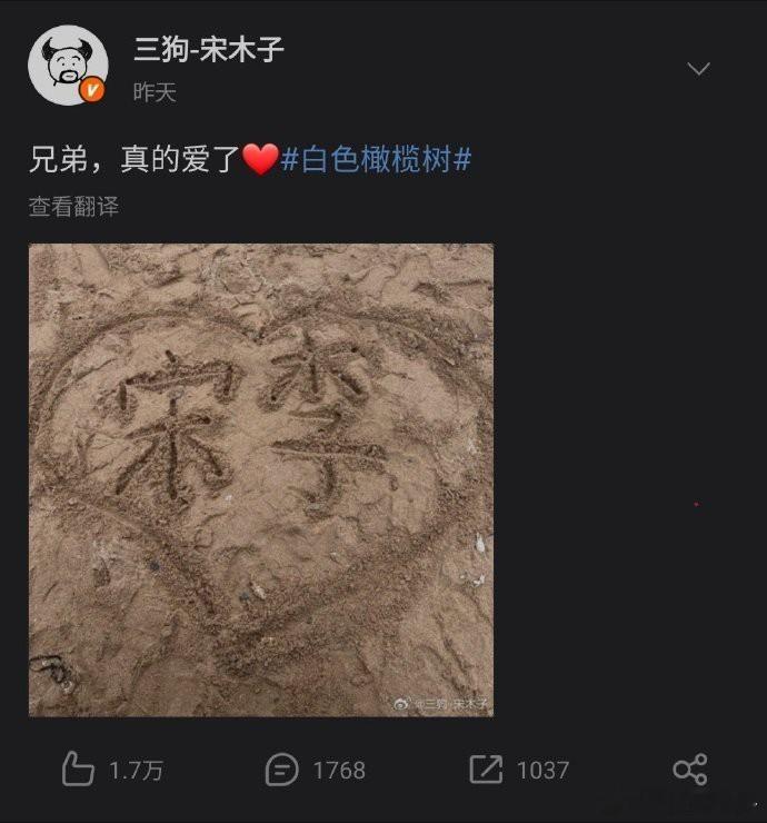 陈哲远的念念不忘是宋木子  要被陈哲远和宋木子笑死了！！《白色橄榄树》直播，问陈