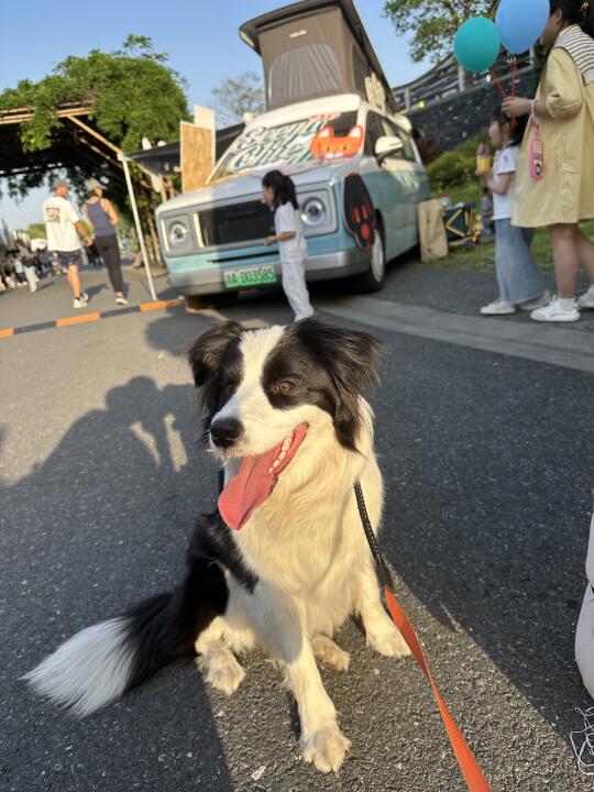 想建杭州宠物户外群，有人吗？