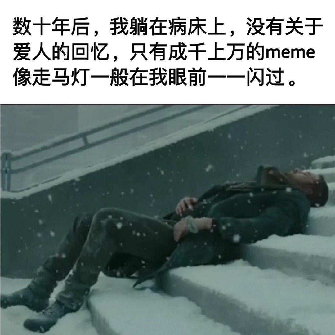 与梗作伴#meme# ​​​