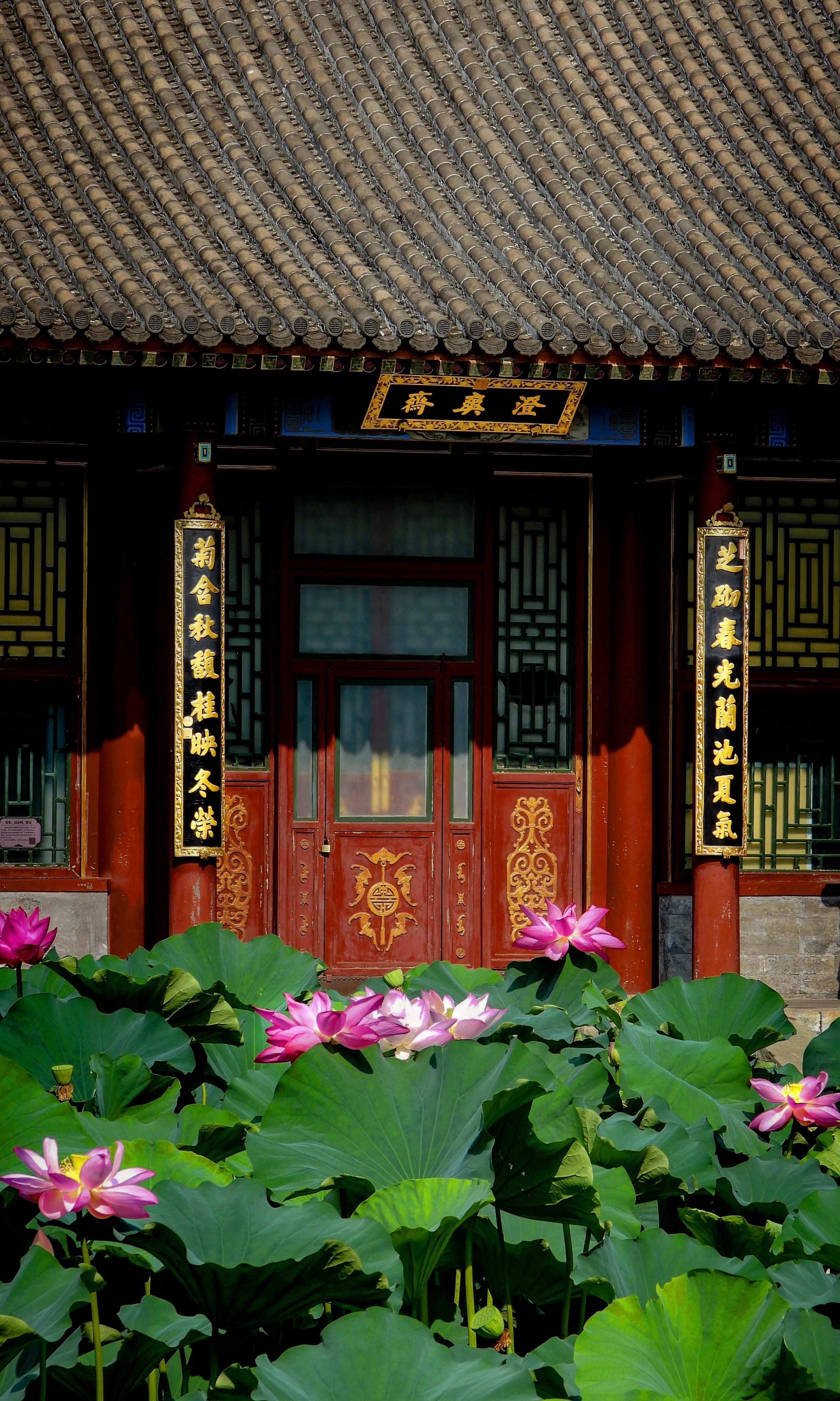 【北京颐和园夏日】绿云高树合，清露沁荷芳。问景真宜夏，迎风好纳凉。（弘历） 摄影