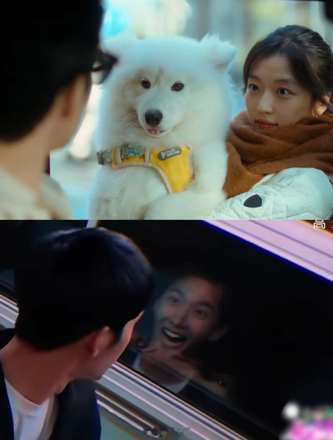 杨洋看井柏然VS卢克看栾念早春晴朗和花少2的羁绊 井柏然这样的场面你也似曾相识吧