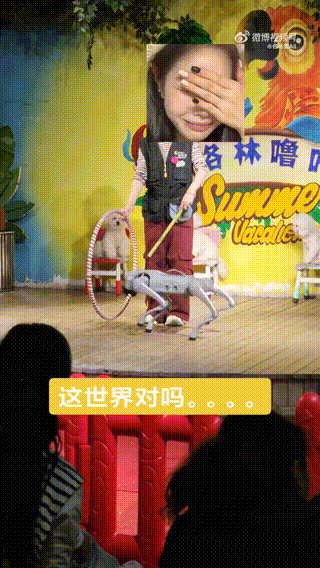连马戏团都进化到这个阶段了吗 迷惑行为大赏 ​​​