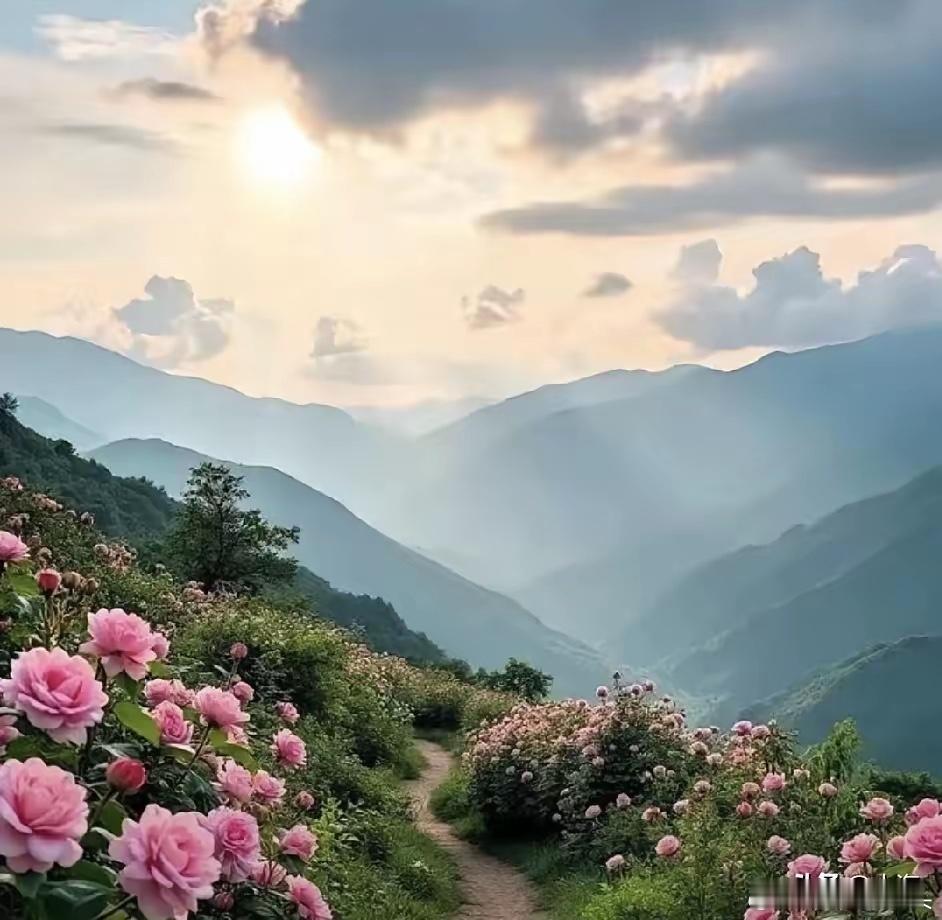 不入局，则破全局人到半百才懂，最高级的活法，是不入局，则破全局。不入情绪的局，旁