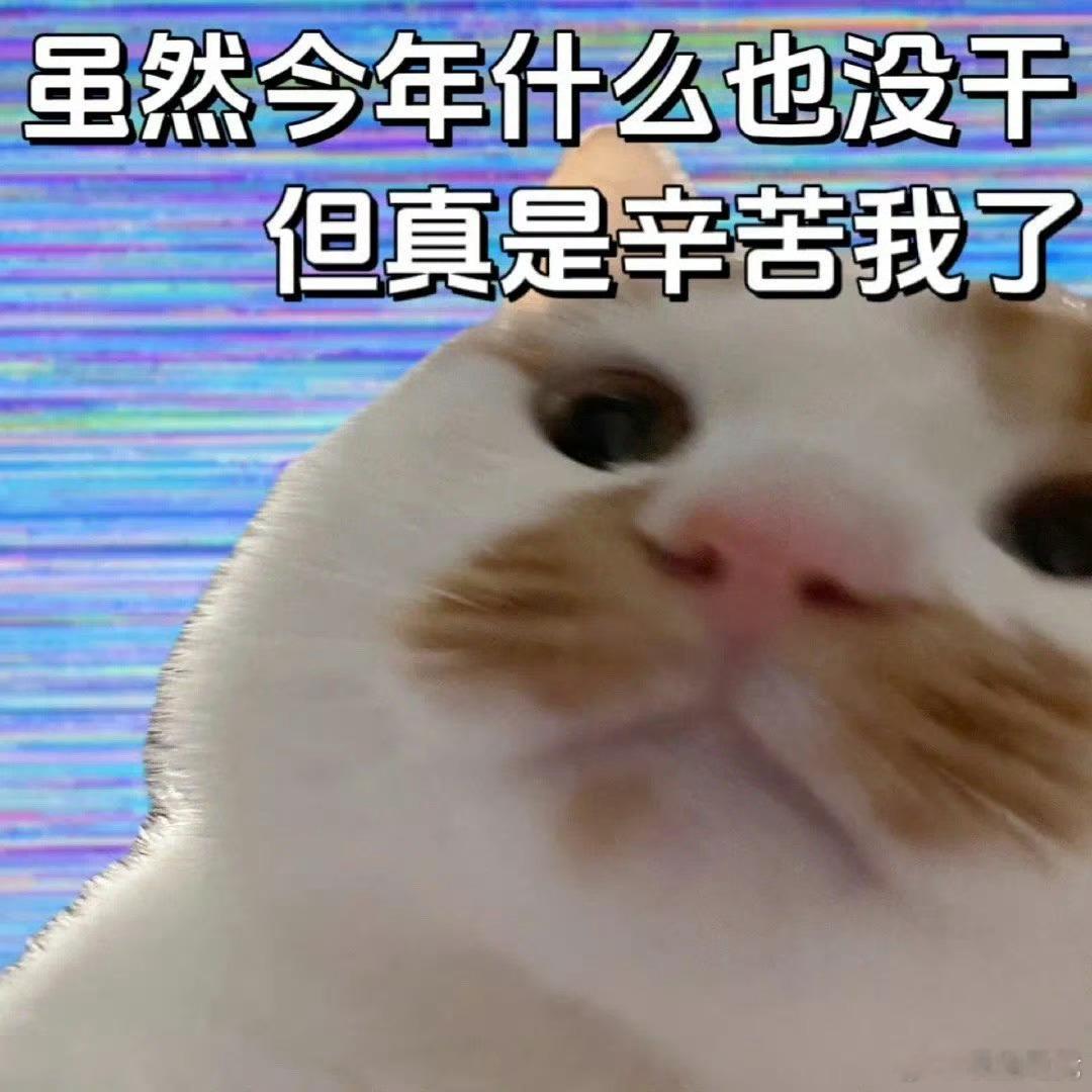 玩加夜话 2025年要结束了，大家今年的愿望都实现了吗？英雄联盟2025lpl