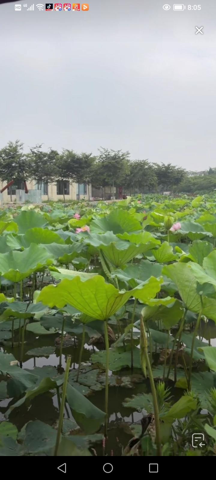 其实我家猫咪每月买吃的大概要花150块。我很担心那只黄猫，外面有狗。我家猫咪原本