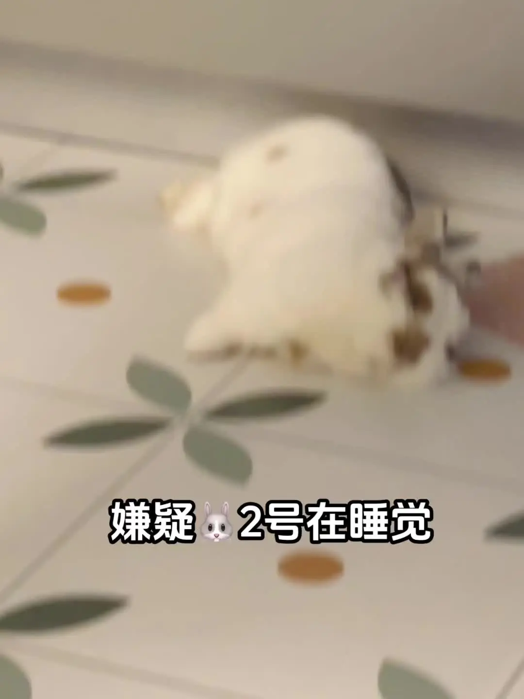 都有充分的不在场证明！到底是谁干的！！😡