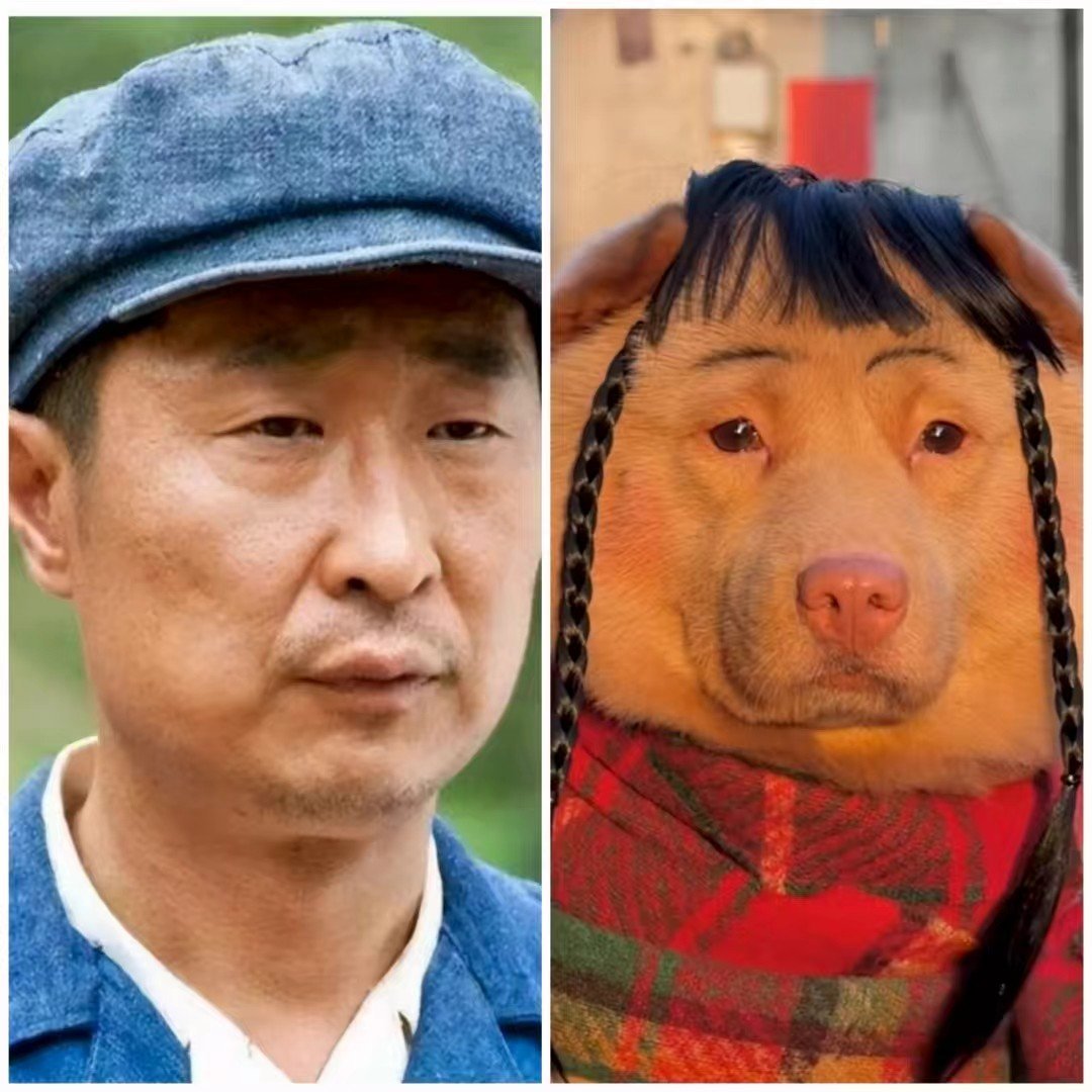 不能说一摸一样，只能说兄妹情深 