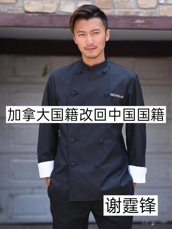 5位“改回中国国籍”的明星 娱乐圈 谢霆锋 陈飞宇