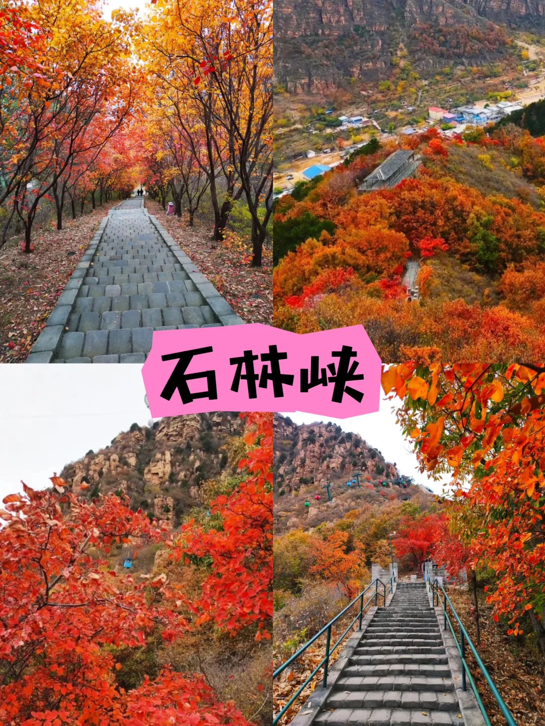 石林峡👉🏻挑战高空ufo玻璃观景台