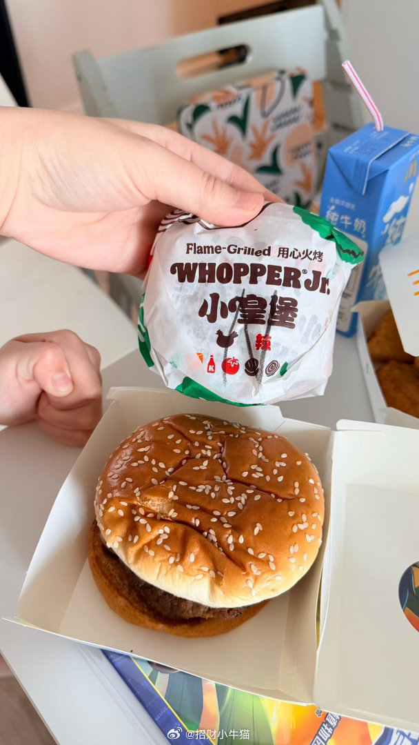 哥哥要吃麦当劳的热狗汉堡老二老三要吃汉堡王的儿童餐+麦当劳的鸡块拿到手哥哥问我为