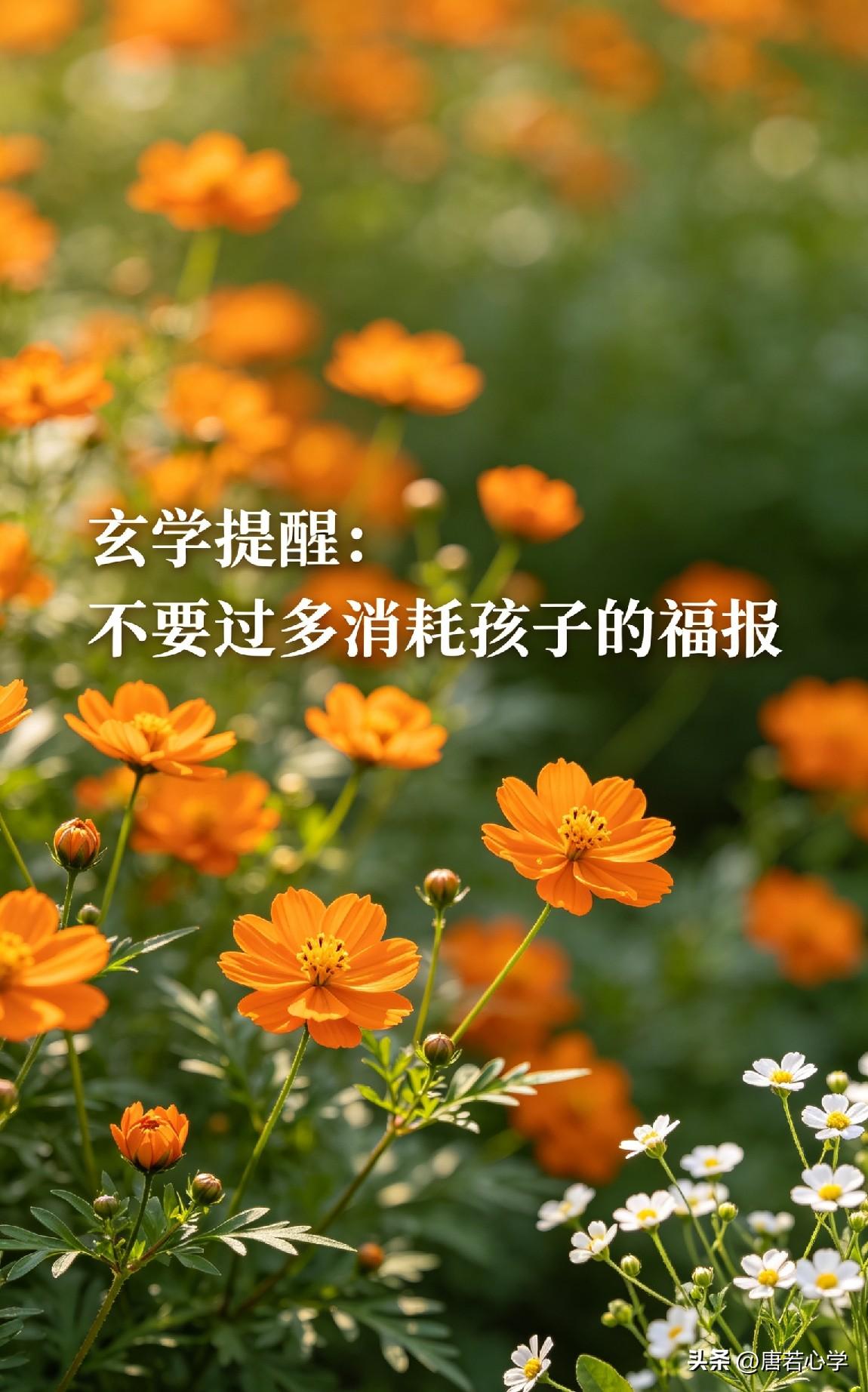 玄学提醒：不要过多消耗孩子的福报

网上有个很玄乎的说法：“为什么有些孩子小时候