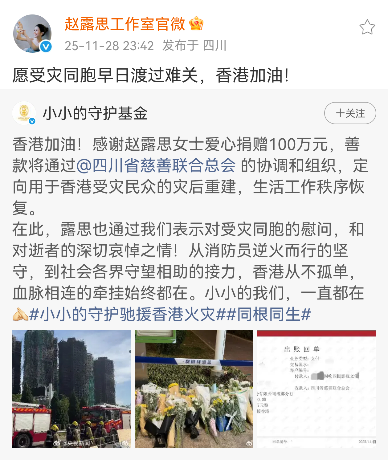 赵露思捐款一百万元，定向用于香港受灾民众的灾后重建，生活工作秩序恢复！ 
