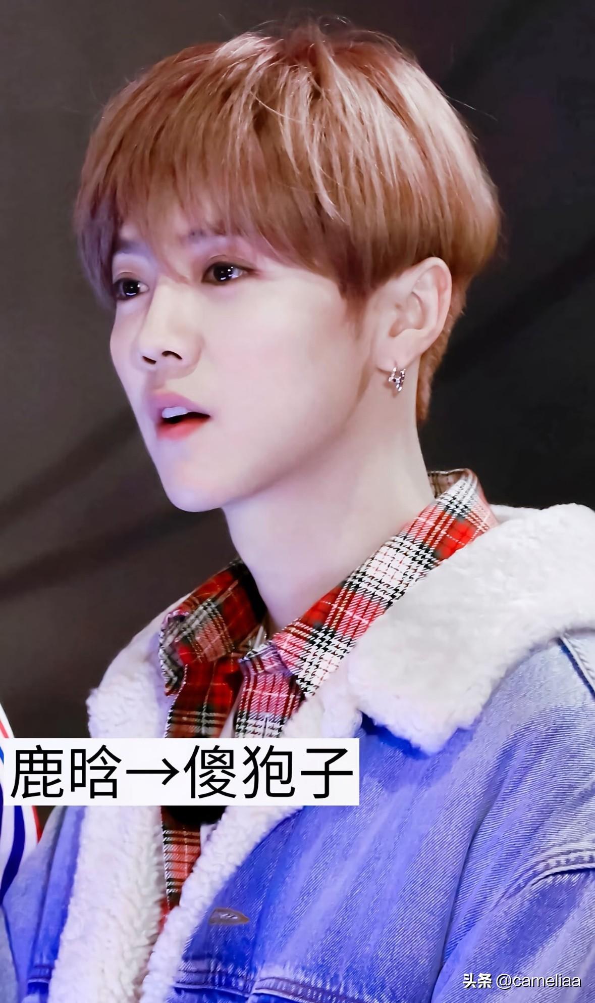 谁能想到
光鲜的明星私下还有这样可爱绰号

娱乐圈里不少明星都有着专属外号，
有