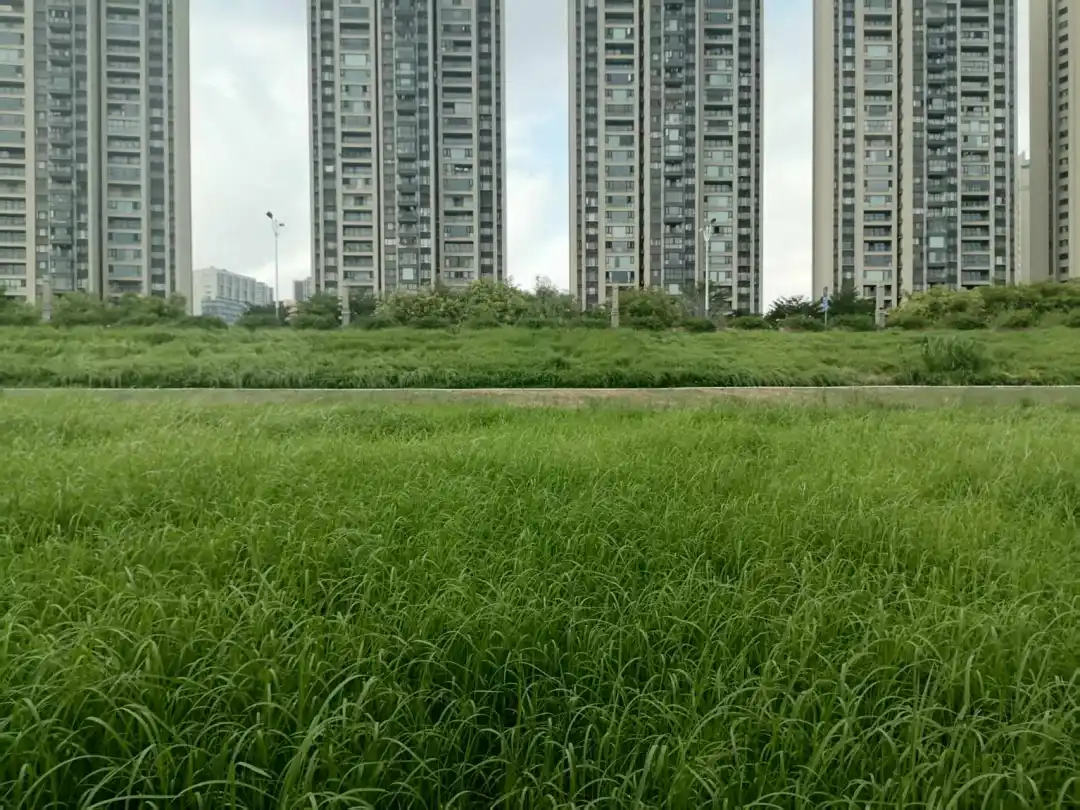 这家亏损近3亿的佛山公司，人均薪酬73万