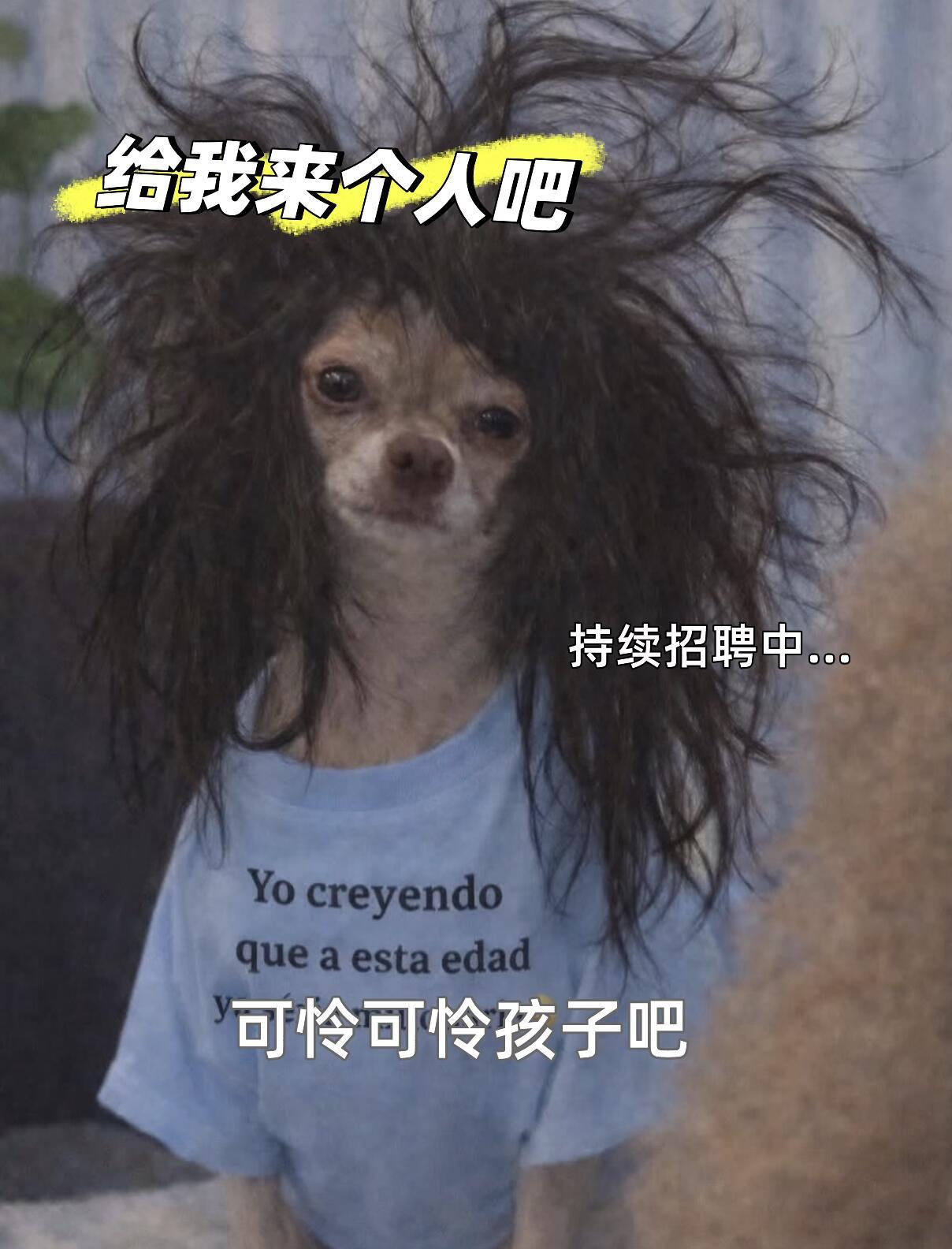 传统招新形式已经行不通了，社团、社区拼的是创新玩法，用鲜活有趣的方式展示魅力，让