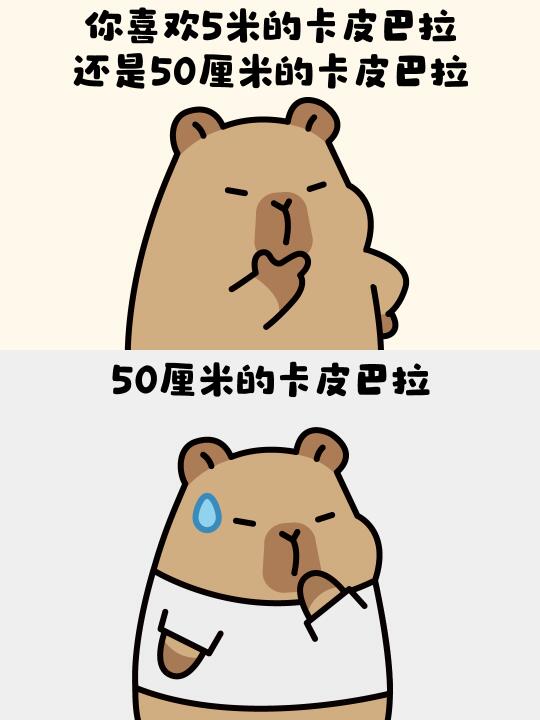 没有选择全是答案｜卡皮巴拉