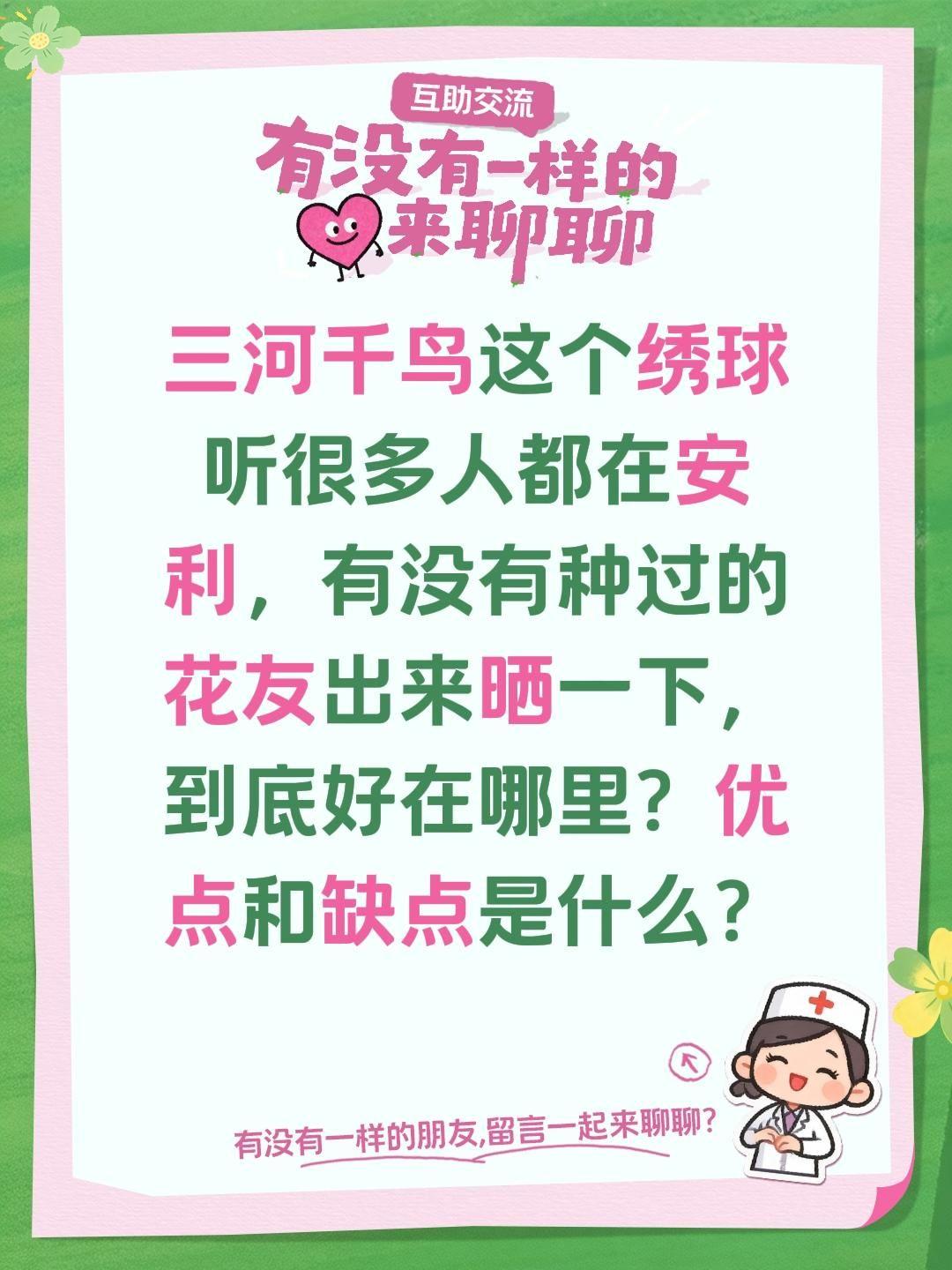 三河千鸟这个绣球的优点和缺点是什么？三河千鸟这个绣球听很多人都在安利，有没有种过