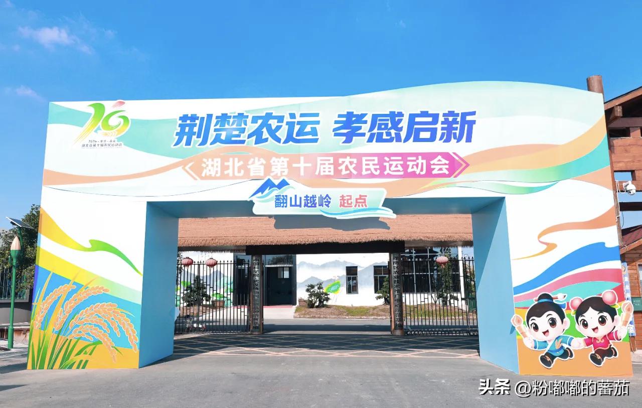 今晚的孝感，比赶集还热闹。我早早挤进观众席，等着湖北省第十届农运会开幕。锣鼓一响