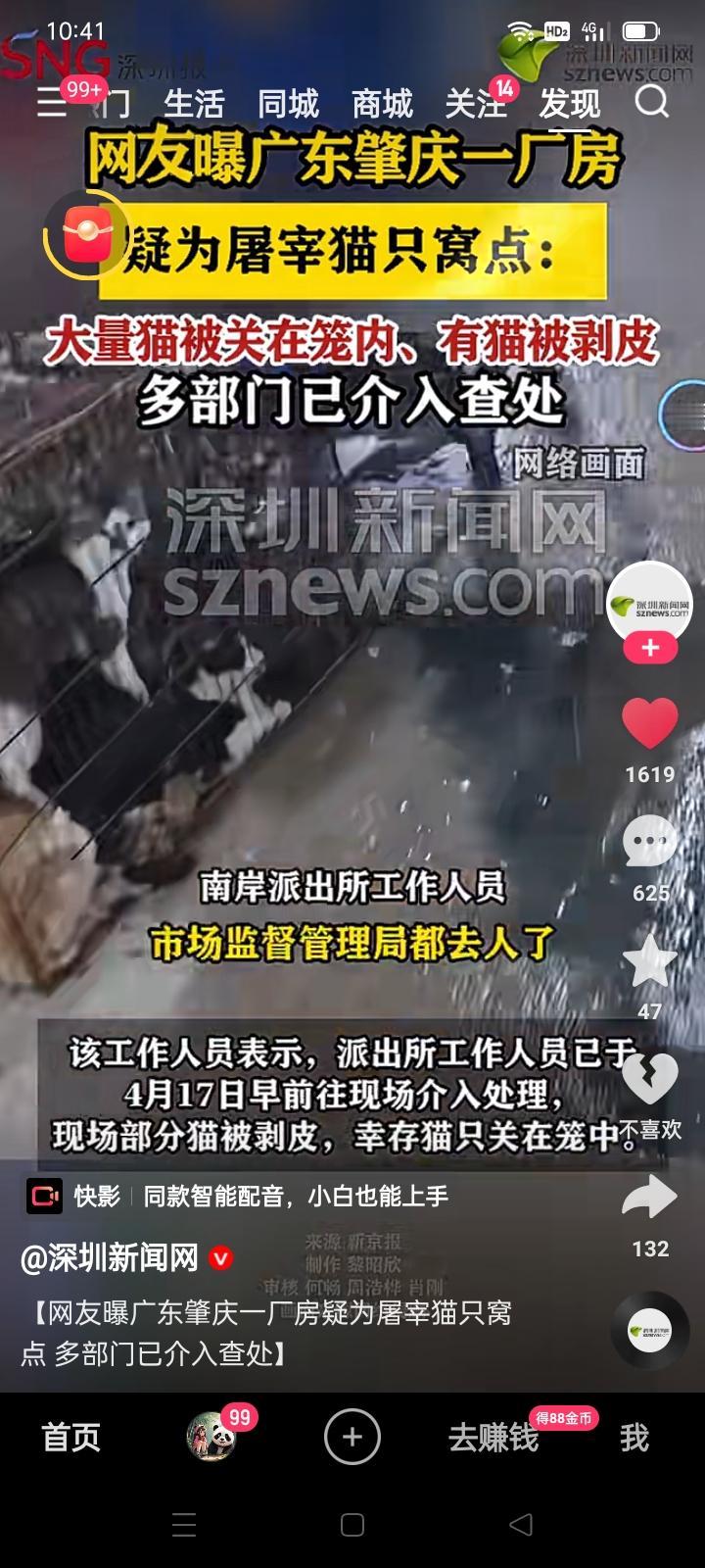 肇庆发生屠宰猫咪窝点，应该予以严厉打击！
盗窃猫咪、屠宰猫咪、贩卖猫肉，是明确的