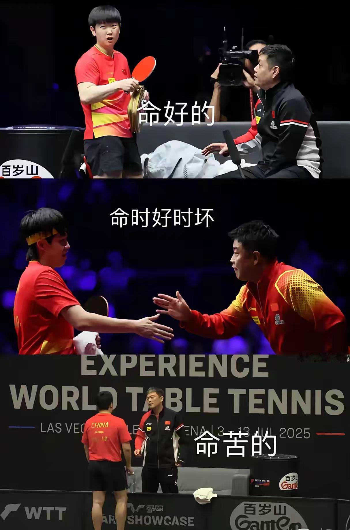 国乒“命运剧本”修罗场！笑到捶桌🤣
莎宝被教练递装备像 “团宠登基” ，中间握