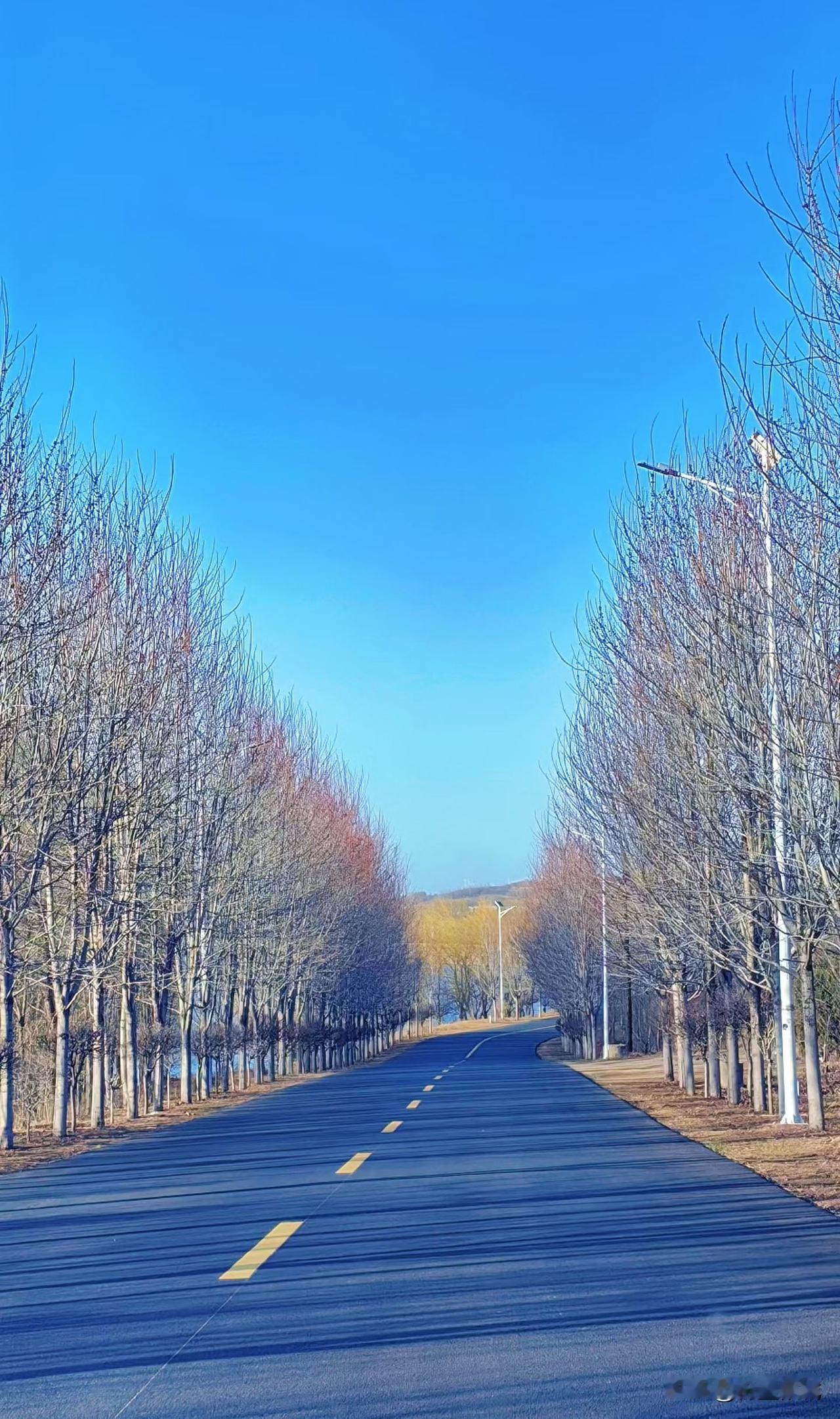 今年最想实现的心愿就是
一人一猫一知己
踏遍天涯海角
路漫漫长夜无眠
金乌玉兔