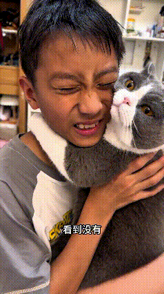 乖乖嘞！俺家这小帅哥养哩蓝猫，真是个“粘人精”！只要小帅哥搁家，这猫就寸步不离，