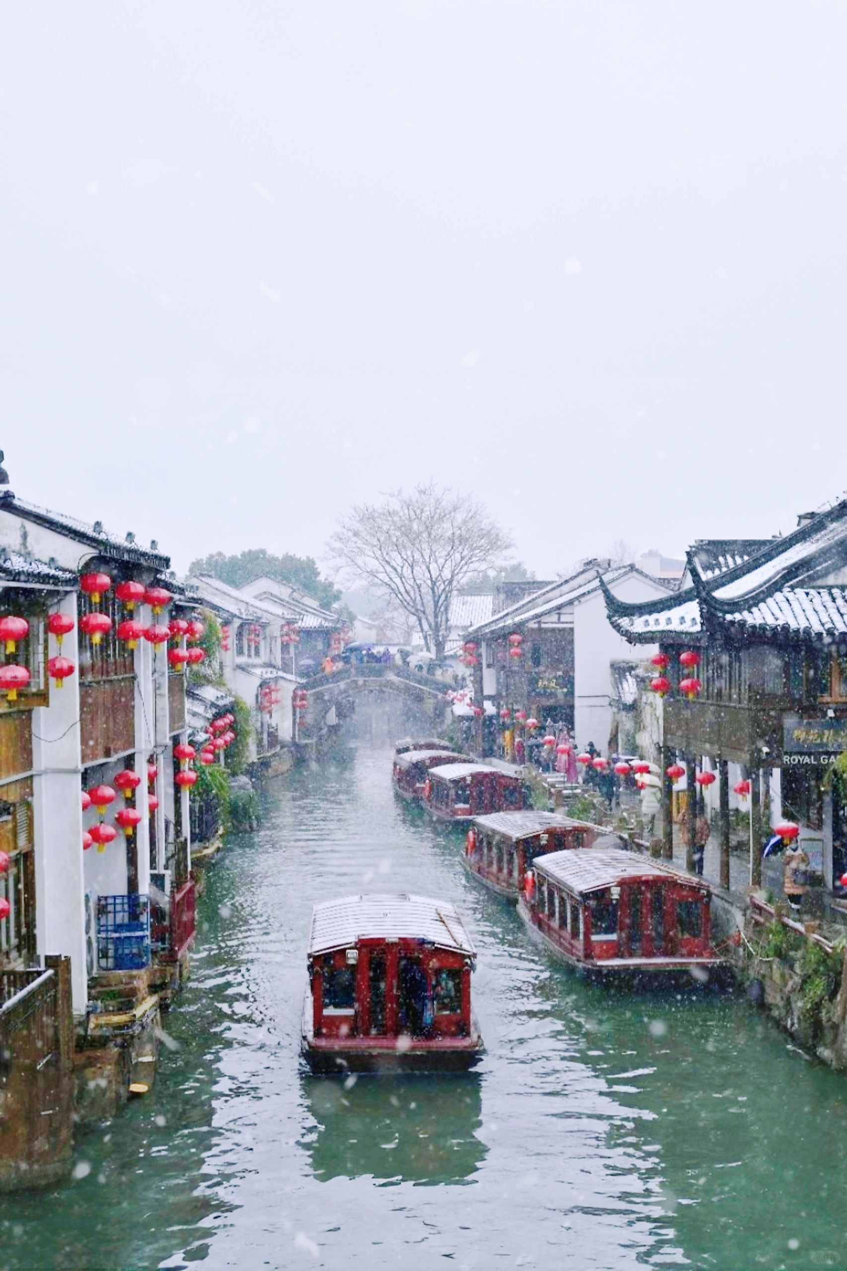 原来姑苏山塘的初雪这么美
