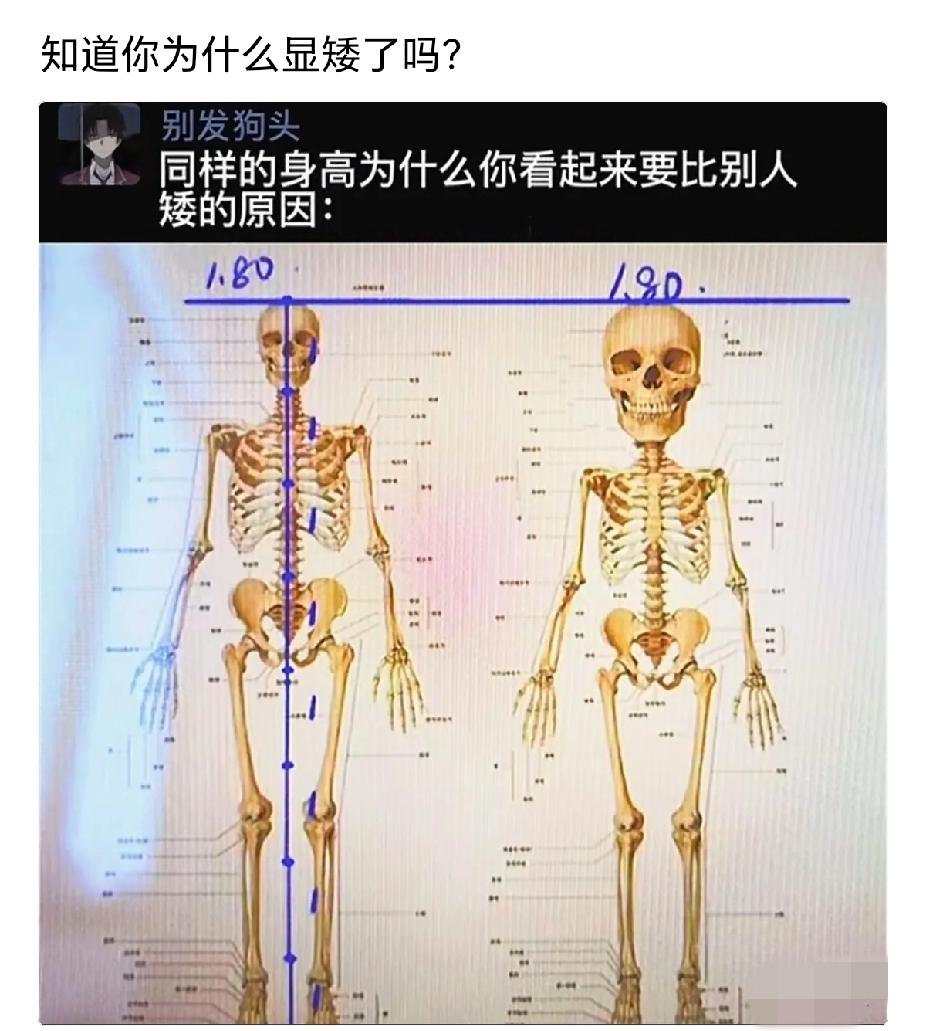 同样的身高，为啥你看起来比别人显矮，你知道是为什么吗？
