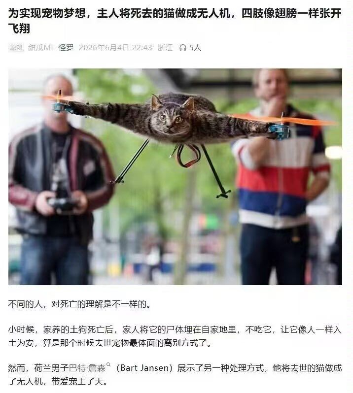飞 
