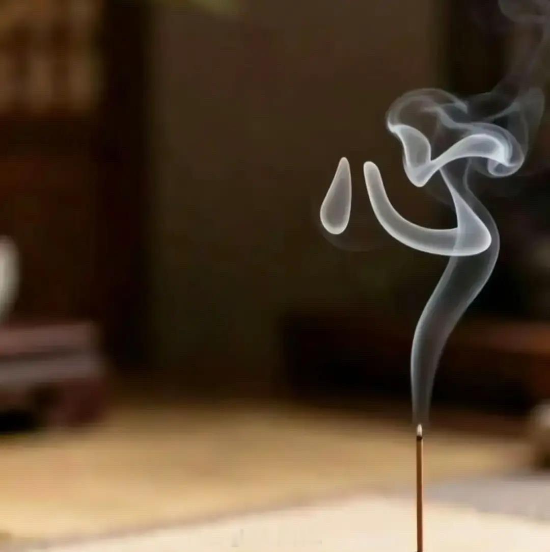 早上的空气真好，雾蒙蒙的，没有太阳，感觉凉凉的，很舒适。 ​​​