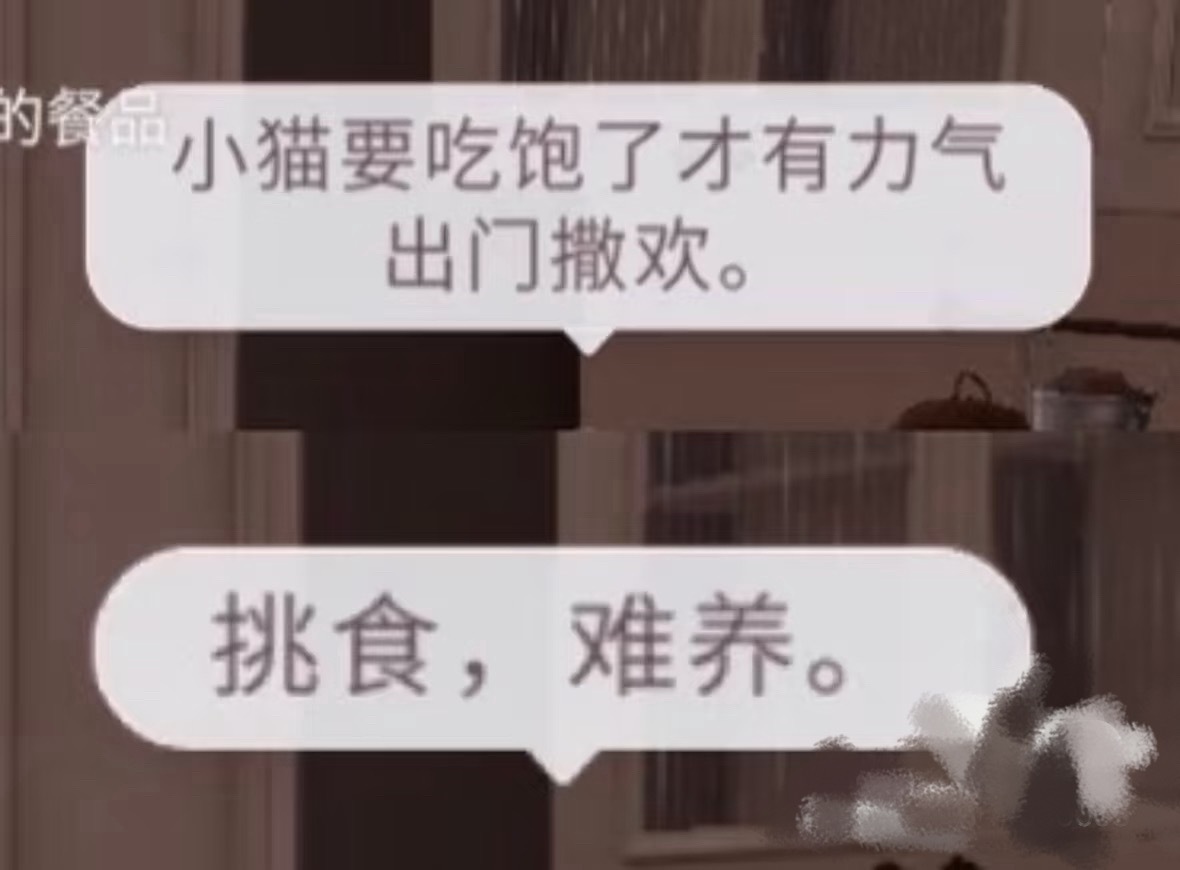 秦彻秦彻0715二周年快乐 毒舌爱猫大帅哥而已恋与深空 