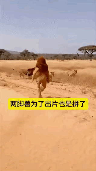 估计一去不复返了。。。