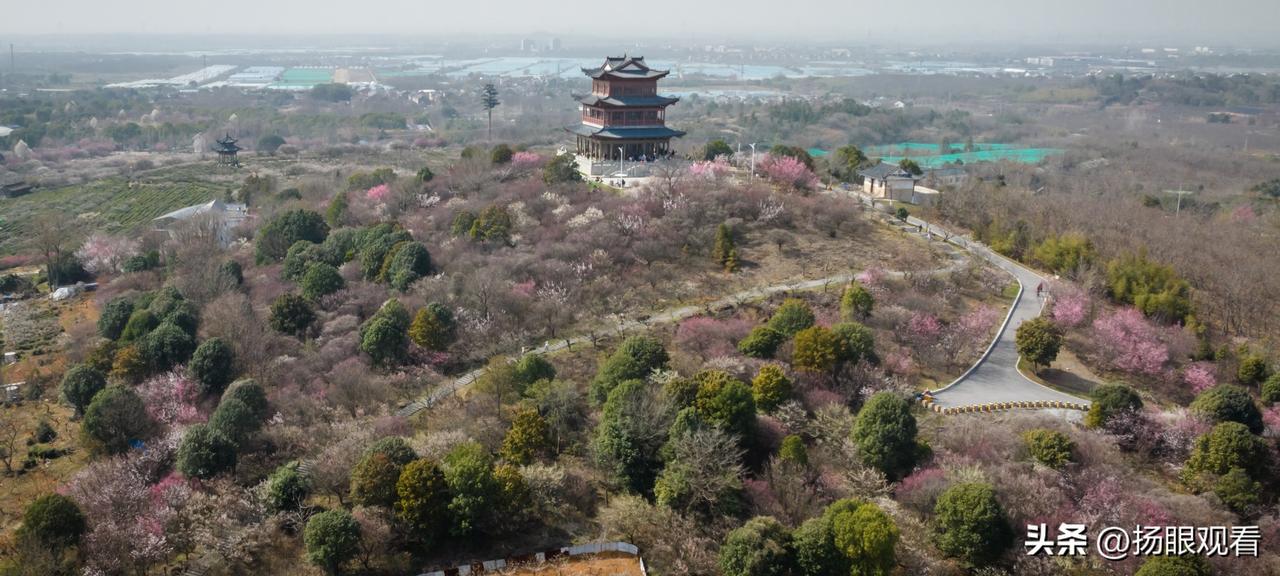 去南京赏梅！傅家边梅花广场半日游攻略🌸
 
这里是南京春日赏梅天花板！
溧水傅
